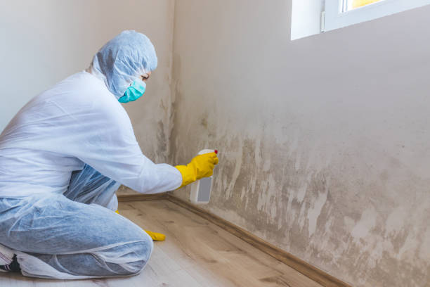 Licensed Mold Testing service in White Plains, NC - WQB Mold Removal