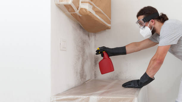 Professional Mold Testing technician working in White Plains, NC