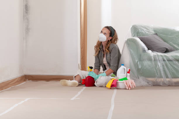 Trusted Mold Testing service in White Plains, NC - WQB Mold Removal
